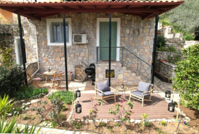 The Olive Tree